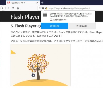 flash許可.jpg