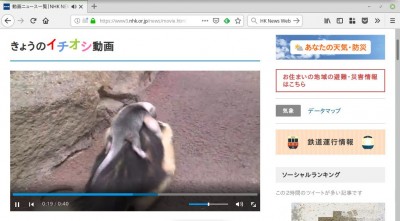 NHK News Web 動画ページ.jpg