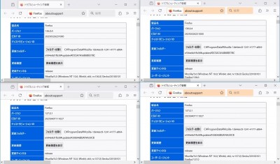最初からどこにも問題は存在していませんでした.jpg
