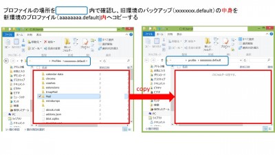 profilecopy.jpg